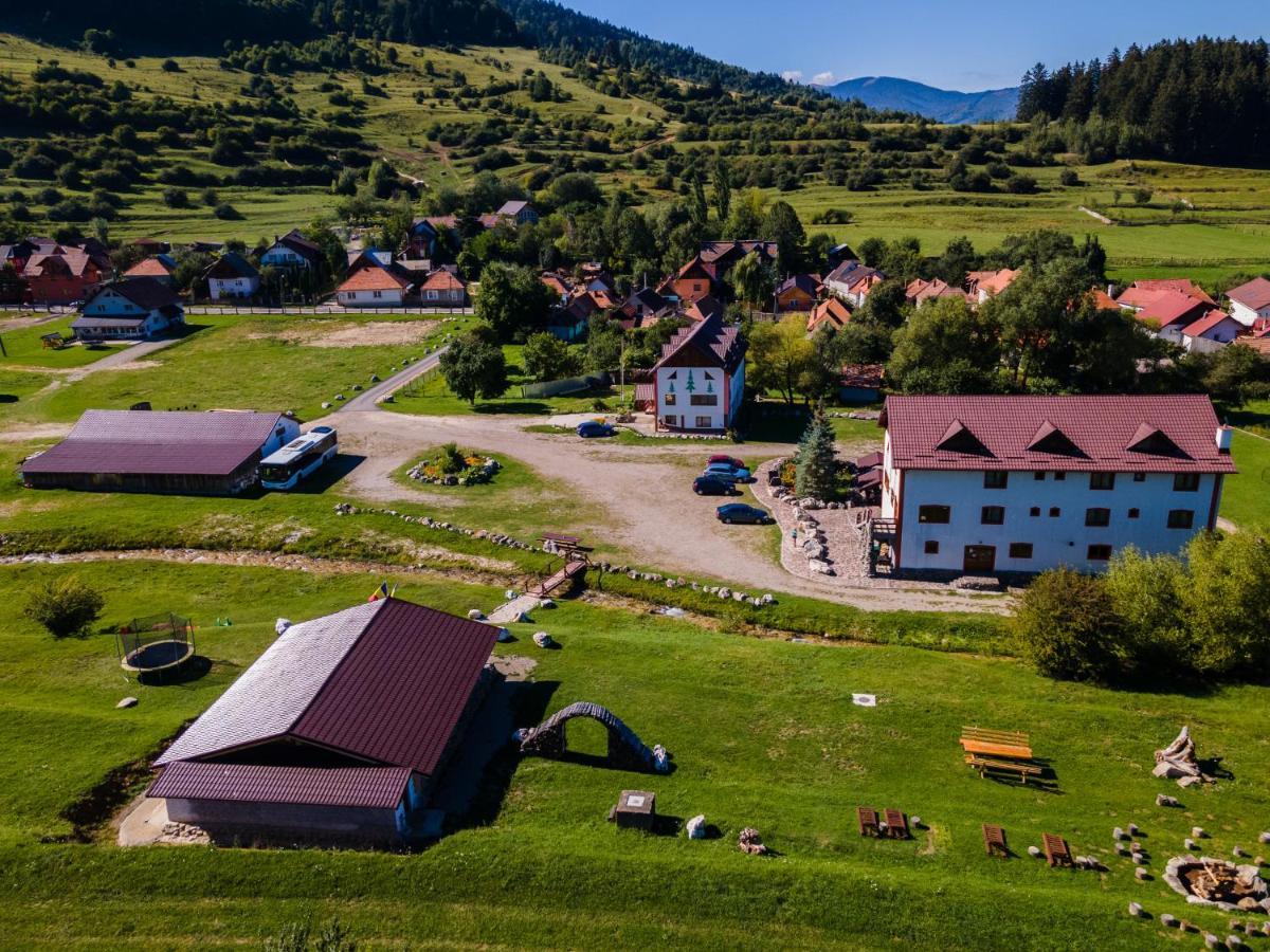 Pensiunea 3 Brazi Зэрнешти Экстерьер фото
