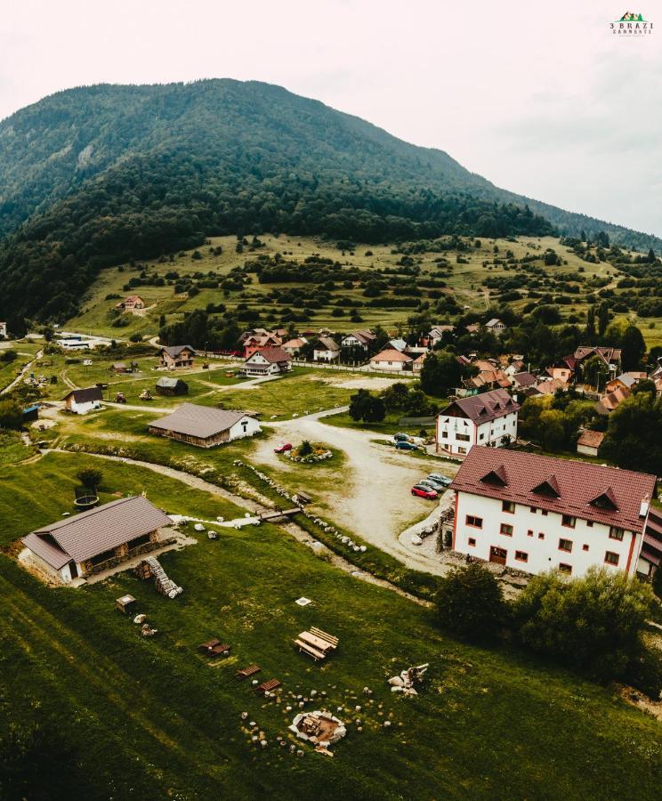 Pensiunea 3 Brazi Зэрнешти Экстерьер фото